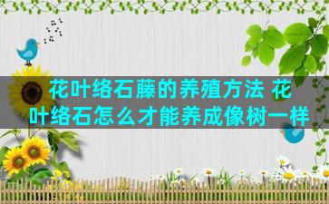 花叶络石藤的养殖方法 花叶络石怎么才能养成像树一样